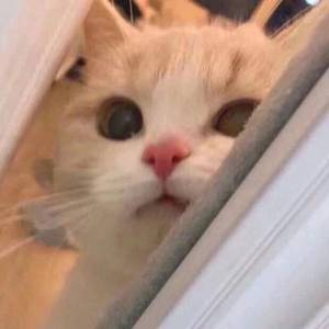 小樱裸体❌羞羞喷水wwwAPP
